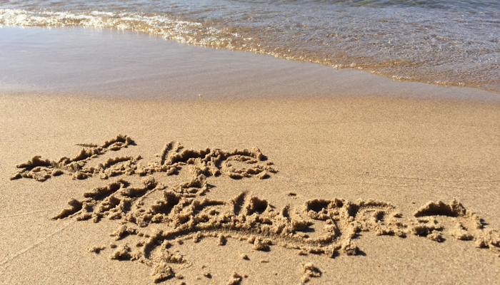 Gemeinsam an den Lake Michigan