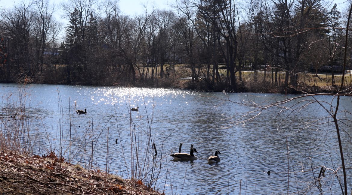 Linden Park & Quarton Lake