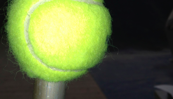 Tennisball und Fliegen. Wie passt das?